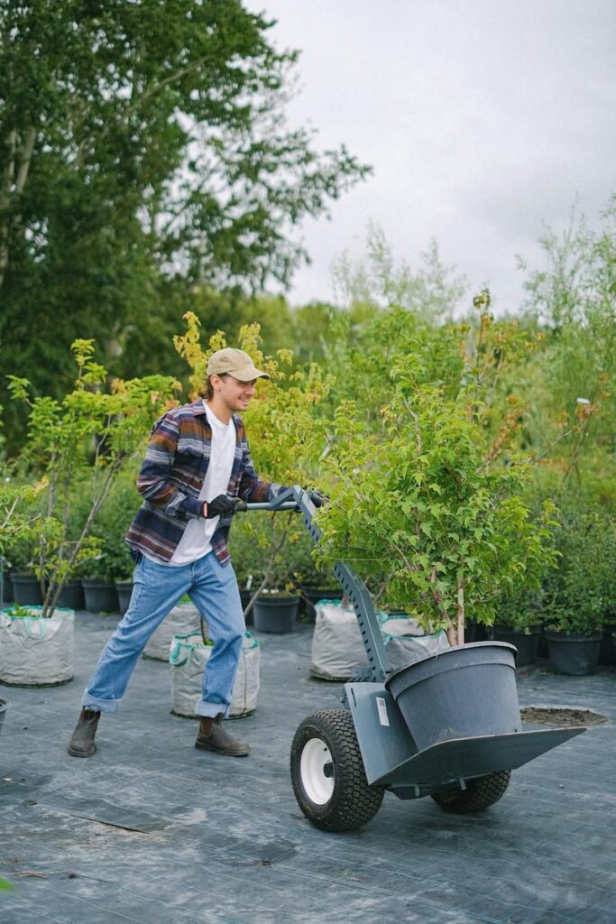 Landscaping worker moving plants using simple equipment as a low-cost business