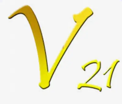 Vision 21 Concepts logo